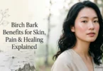birch bark benefits for skin, pain & healing explained